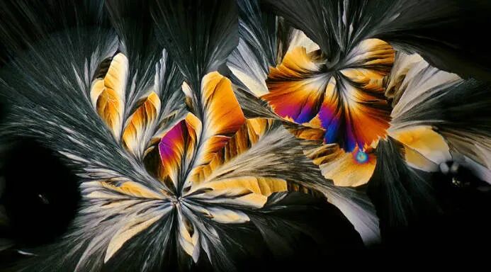 外刊阅读|谷歌人工智能发现了220万种科学未知的材料