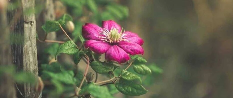 自律者出众，不自律者出局