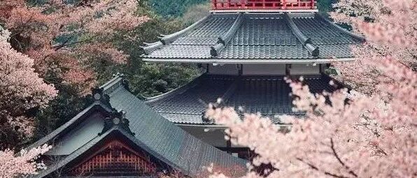 诚信+感恩+人品=做人