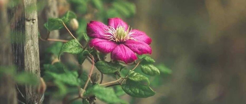 自律者出众，不自律者出局