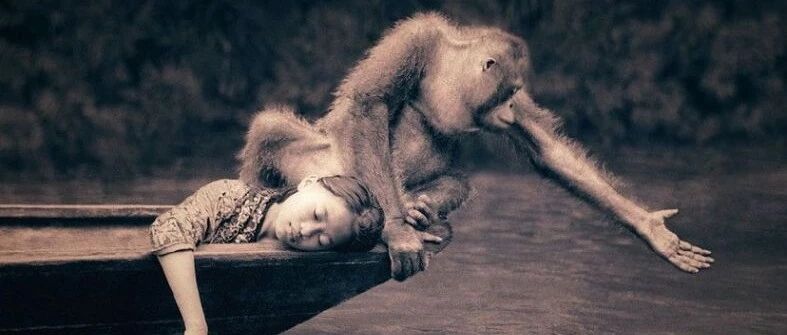 无法重来的一生 （写得真好）