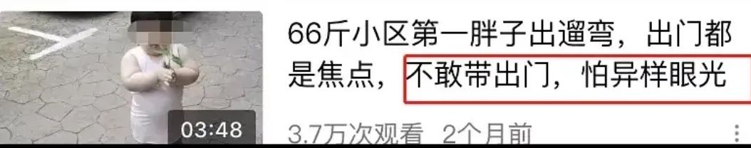 致富经养鹅视频_养鹅视频大全_致富经鹅养殖技术视频