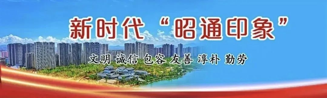 广昆高速白诸段发生车祸
