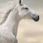 晨晖资本新基金完成首关