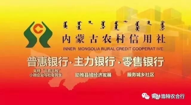 怎么在人行查支付牌照_中国人民官网支付牌照查询_人民银行支付牌照查询