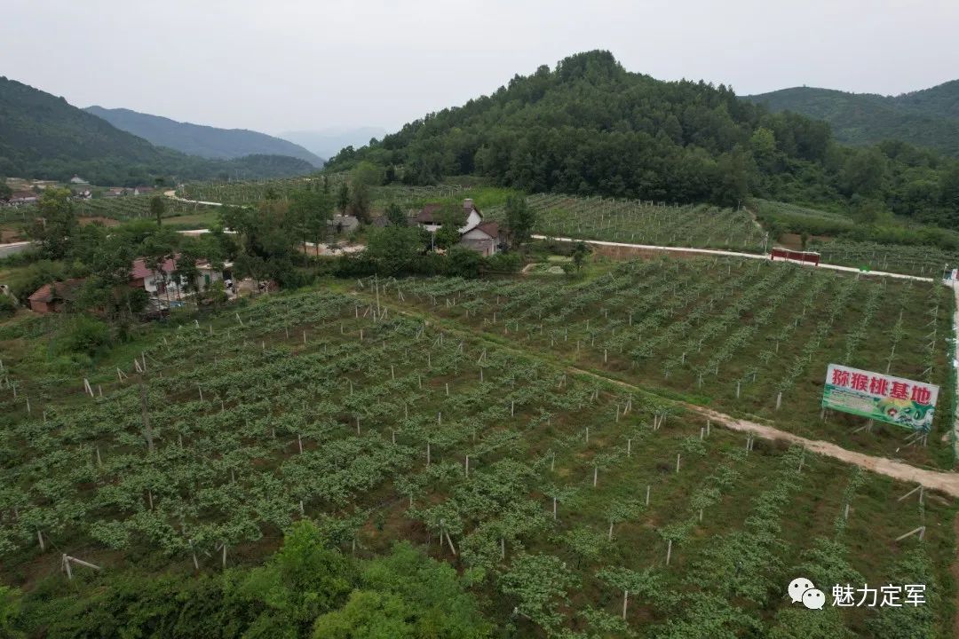 致富农业节目_农业致富经_致富农业华为眉县那个支付秘抄