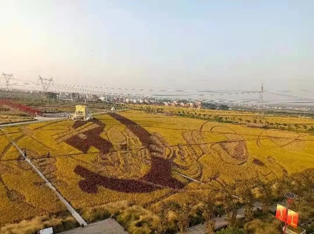 助力乡村振兴，灵科超声波参加阳江、茂名市乡村振兴活动项目