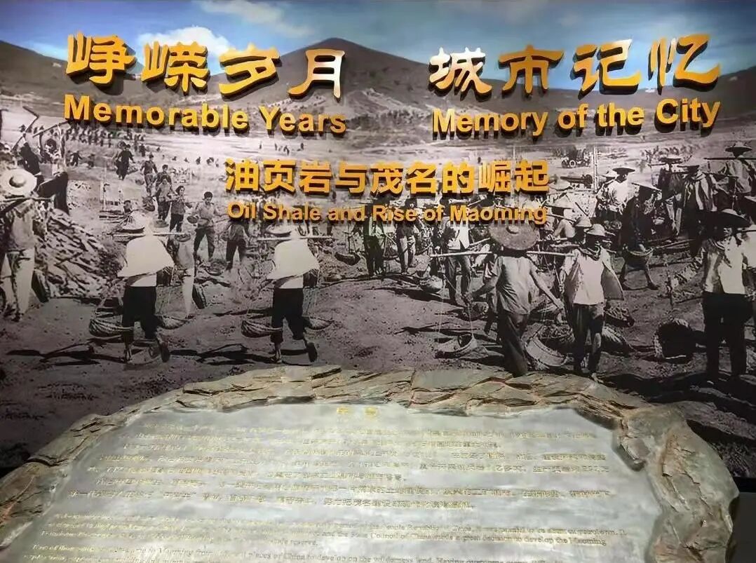 助力乡村振兴，灵科超声波参加阳江、茂名市乡村振兴活动项目