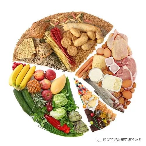 医生说的清淡饮食,绝不是只吃素、不沾荤!