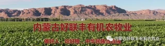 医生说的清淡饮食,绝不是只吃素、不沾荤!