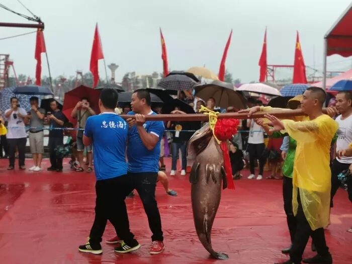 北海海鲜市场价_龙趸鱼多少钱一斤_2020年北海海鲜价格
