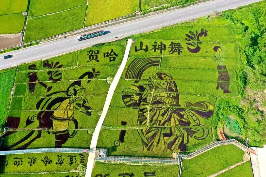 贺哈田园综合体  樊二东摄.jpg