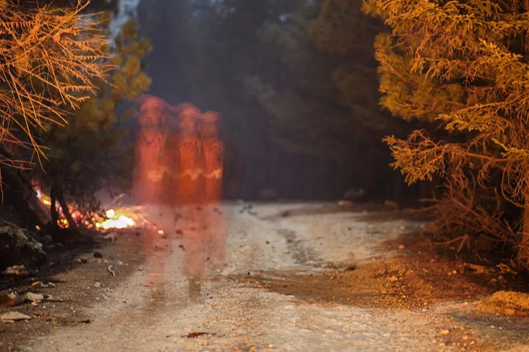 梦见树林起火被扑灭_梦见树着火了后又扑灭_梦见树上失火被扑灭了