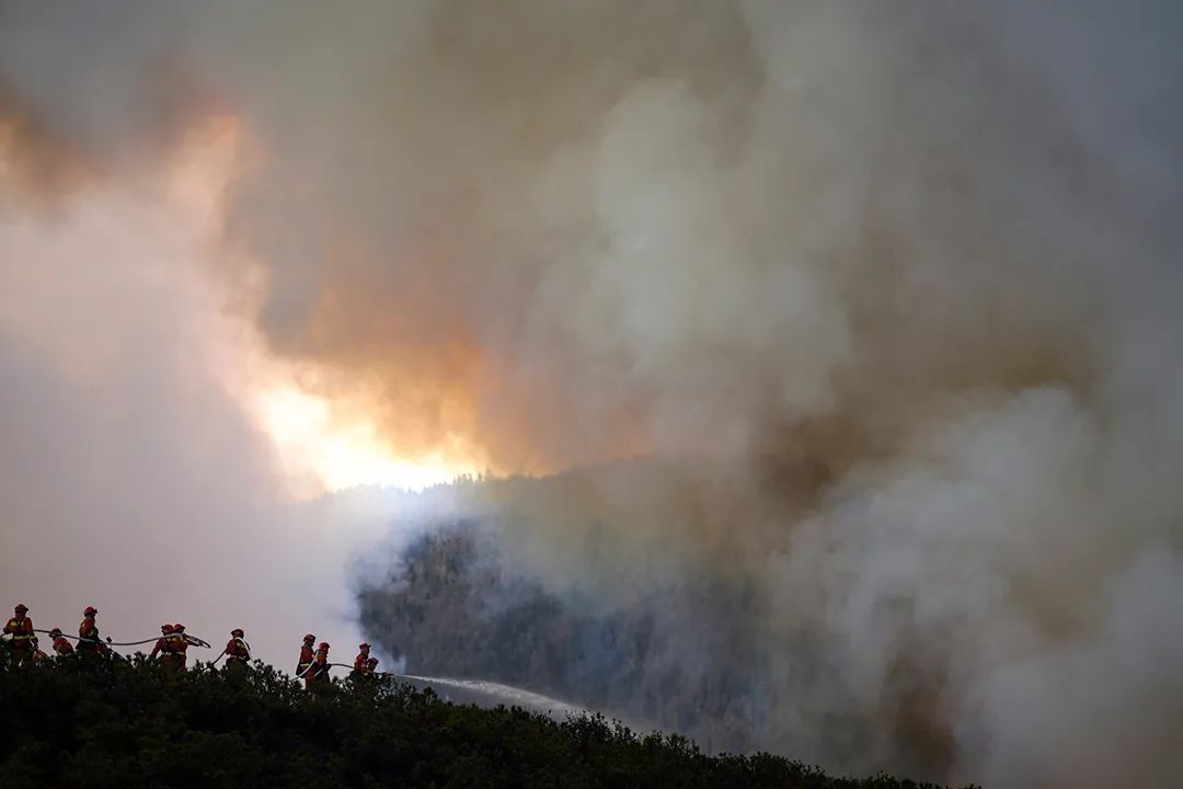 梦见树林起火被扑灭_梦见树上失火被扑灭了_梦见树着火了后又扑灭