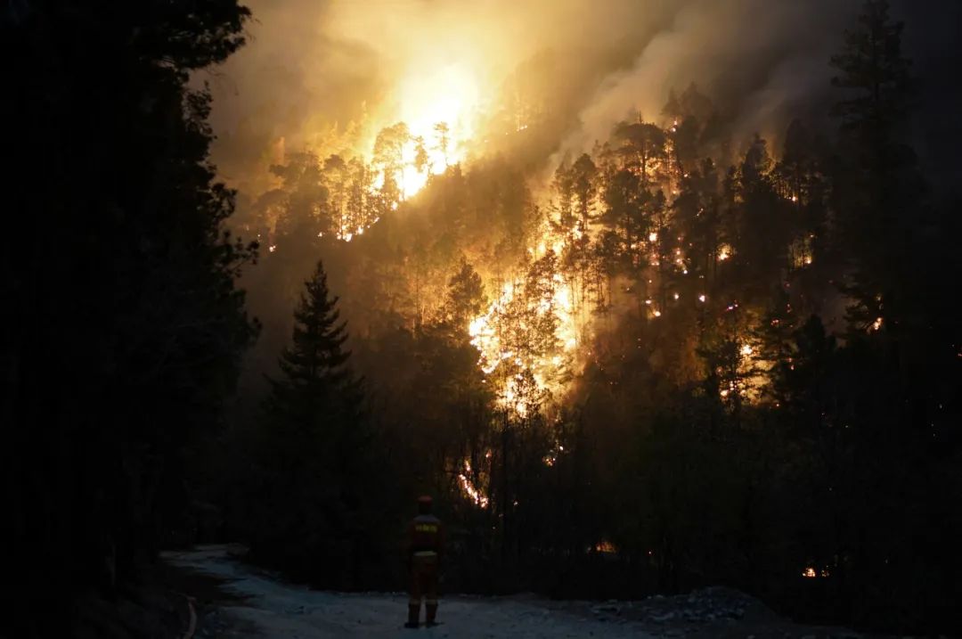 梦见树上失火被扑灭了_梦见树林起火被扑灭_梦见树着火了后又扑灭