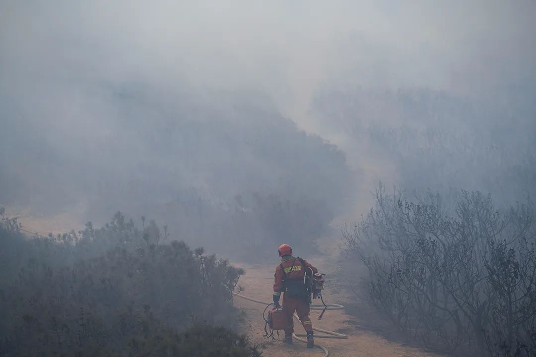 梦见树林起火被扑灭_梦见树着火了后又扑灭_梦见树上失火被扑灭了