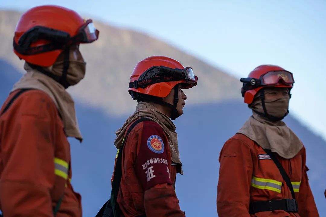 梦见树着火了后又扑灭_梦见树上失火被扑灭了_梦见树林起火被扑灭