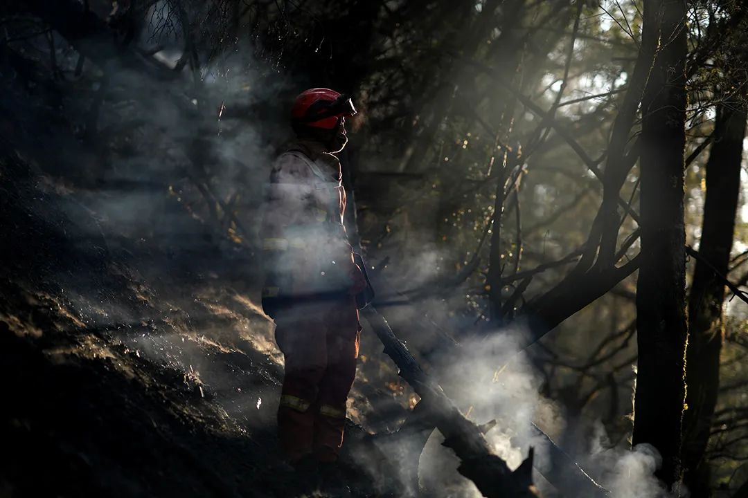 梦见树林起火被扑灭_梦见树上失火被扑灭了_梦见树着火了后又扑灭