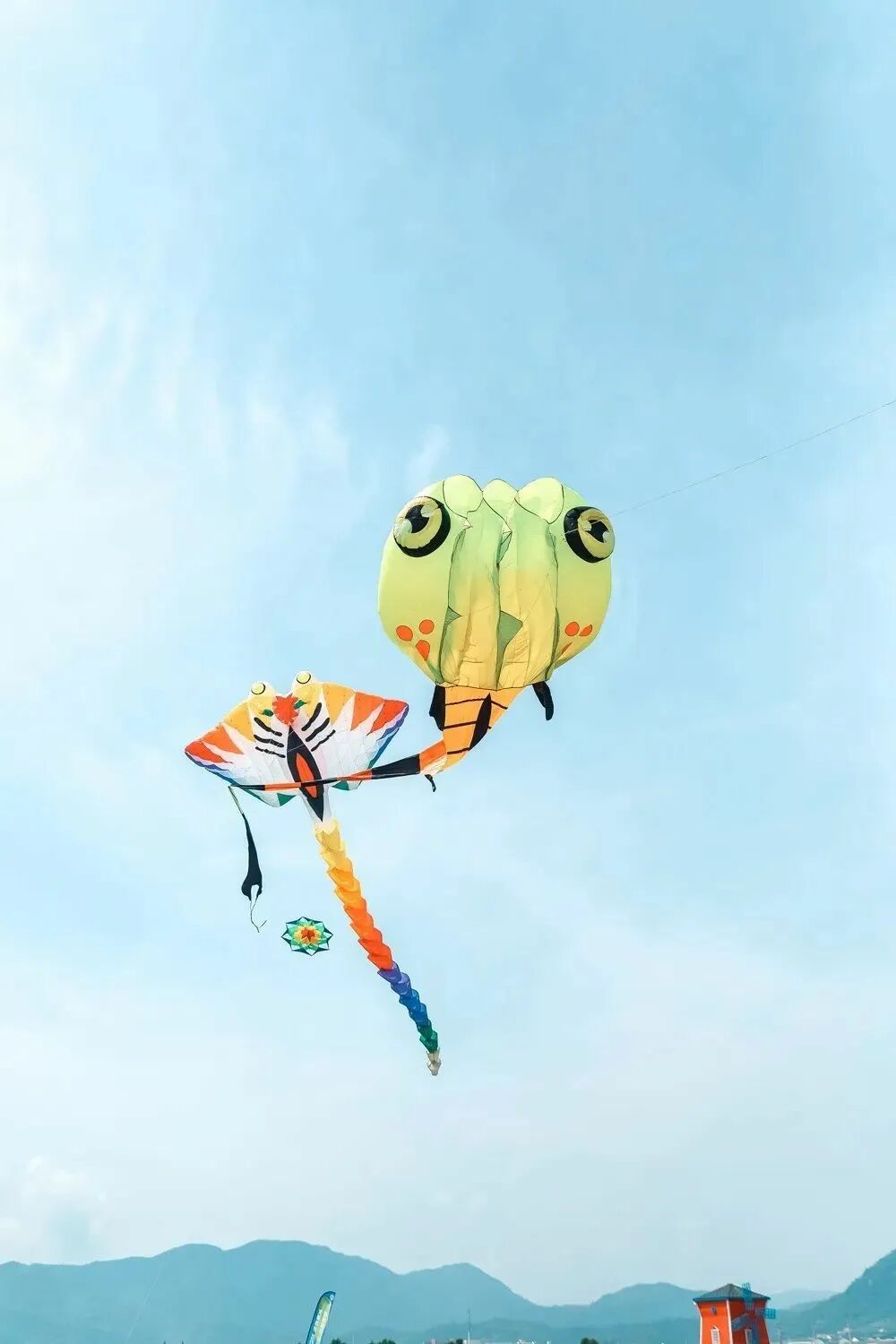 吹吹来自瑞安曹村田园综合体的风,骑行在天井垟绿道,在摩托艇上破浪