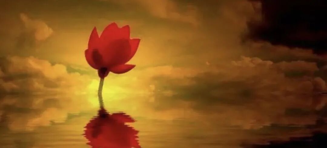 人体“百毒不侵”的秘诀，完全颠覆你的认知！