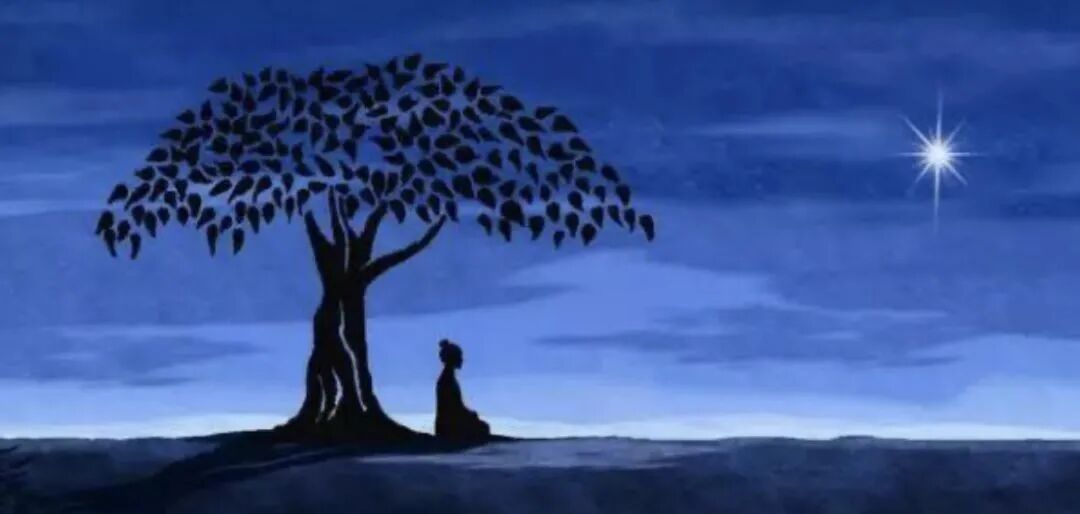 人体“百毒不侵”的秘诀，完全颠覆你的认知！