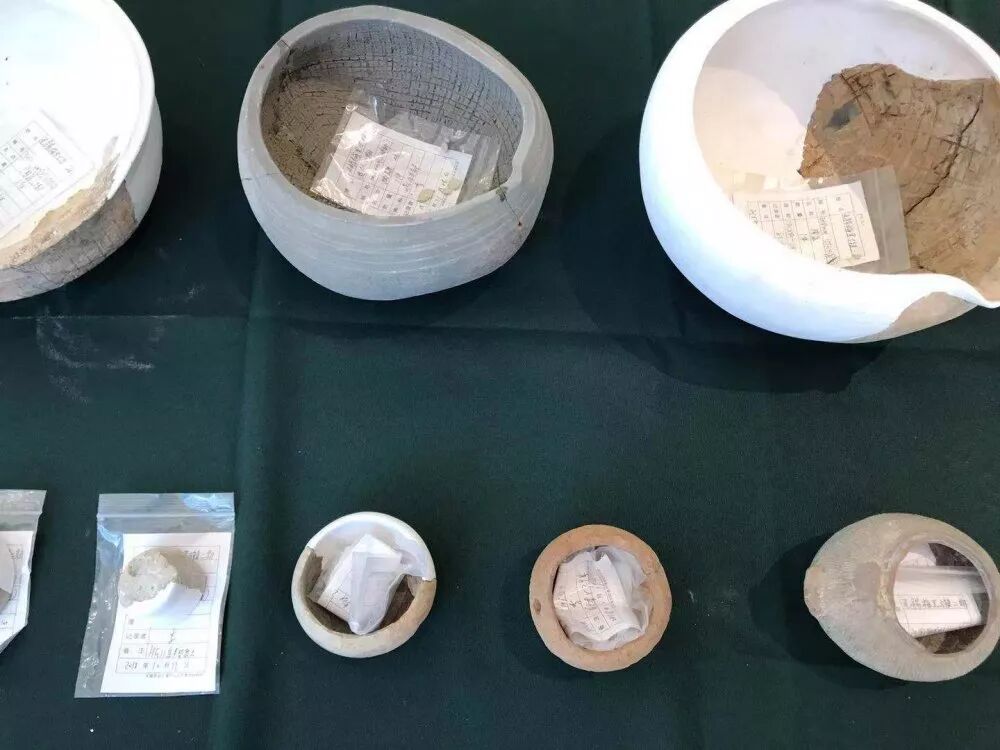 梅里遗址考古重大发现今日发布