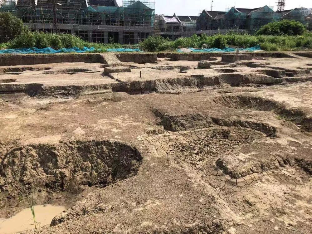 梅里遗址考古重大发现今日发布