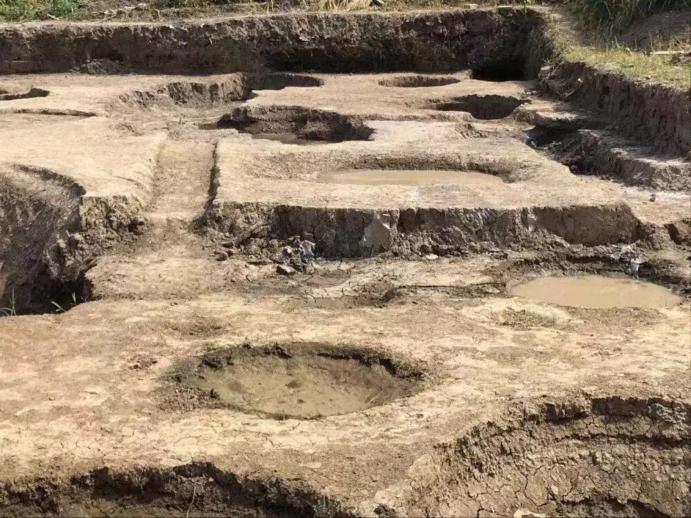 梅里遗址考古重大发现今日发布