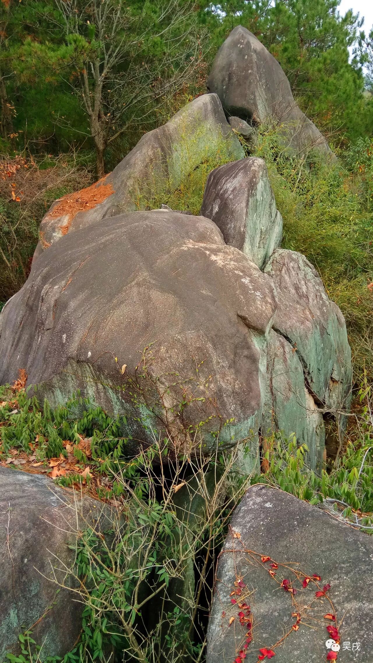 三天之下,通真观前仙石多