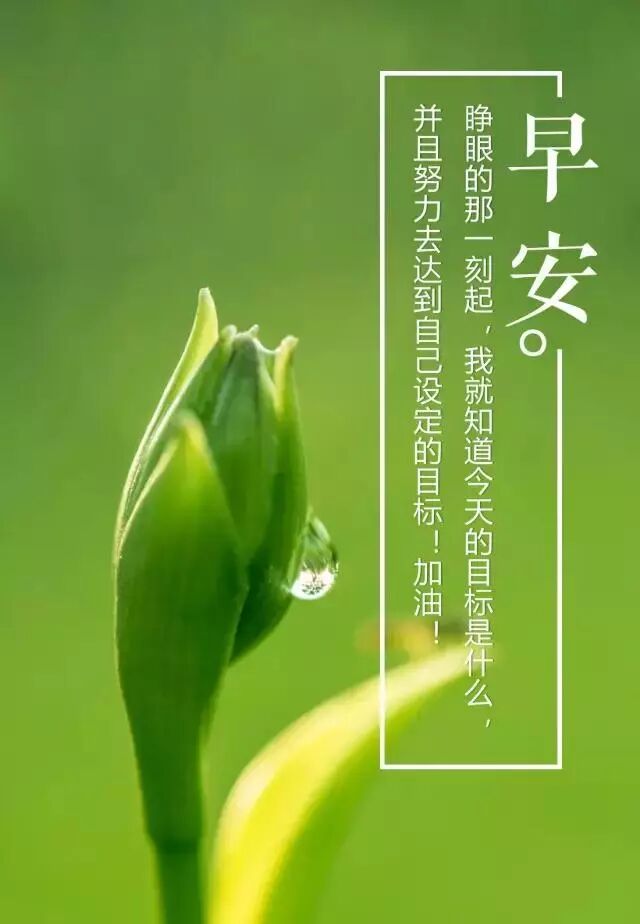 早安简短走心的语录 人生感悟经典说说语句_非主流个性网