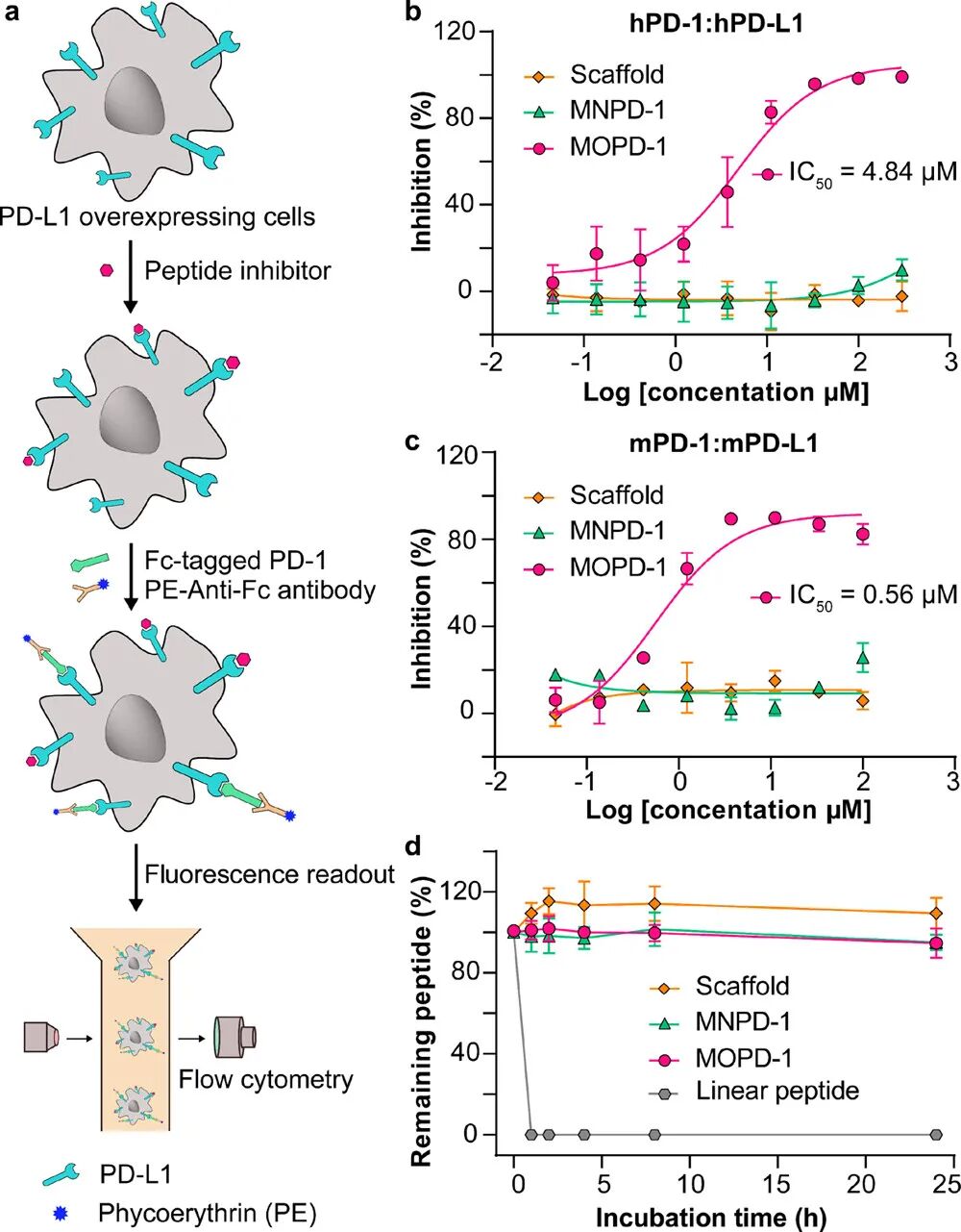 Jacs 合理设计pd 1的强效多肽抑制剂以用于肿瘤免疫治疗 全网搜