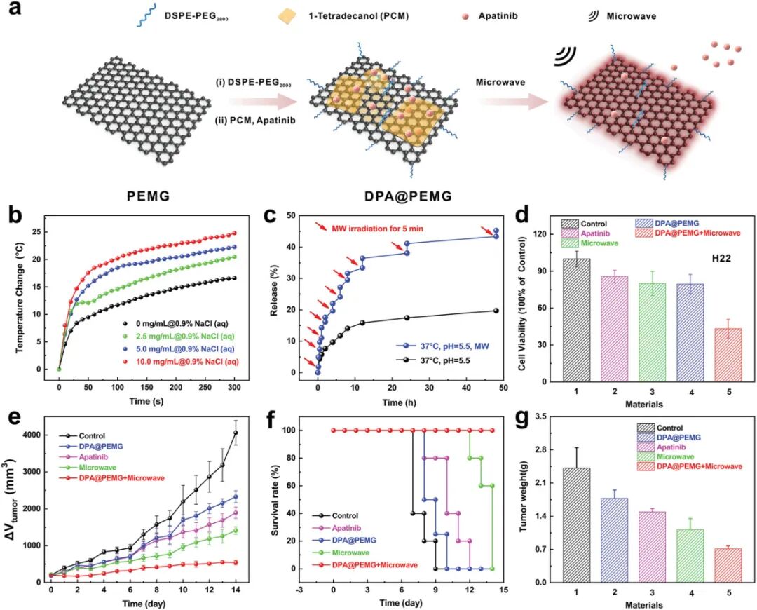张锦/孟宪伟/韩冰等AM: 持续“下雪”的热疗石墨烯