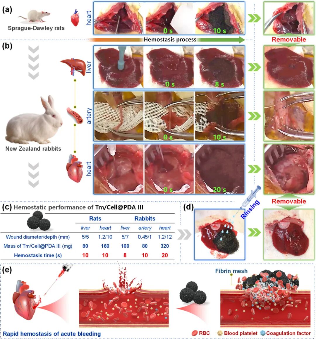 止血微球怎么用Nano. Lett：纤维素基晶胶微球用于快速止血_https://www.jmylbn.com_新闻资讯_第5张
