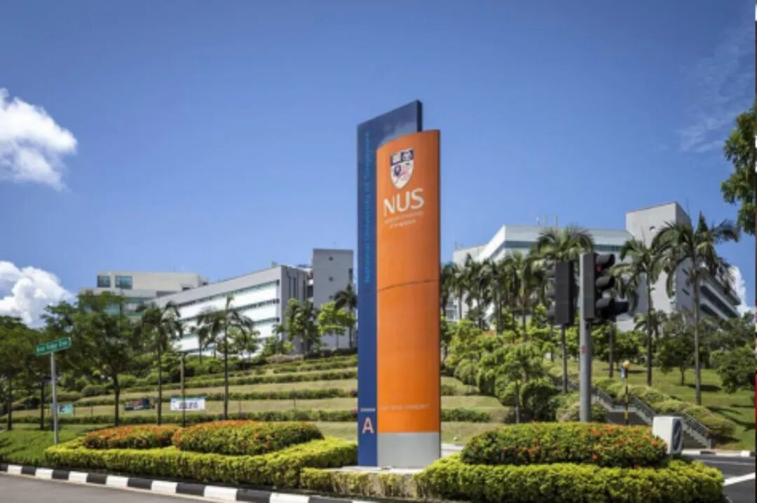 新加坡国立大学人工智能chatgpt科技营你与未来的一次深入对话