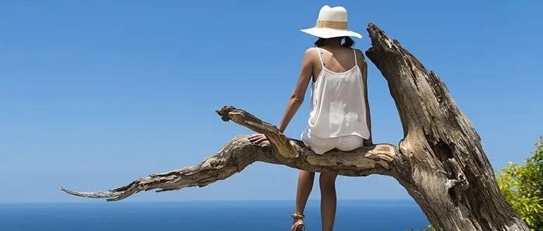 武汉坠楼女子事件：养狗没有错，缺德的是人！