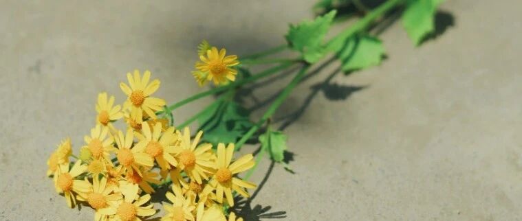 “爸妈，高考结束了，你们离婚吧”：孩子一句话，揭露了中国式婚姻的残酷真相！