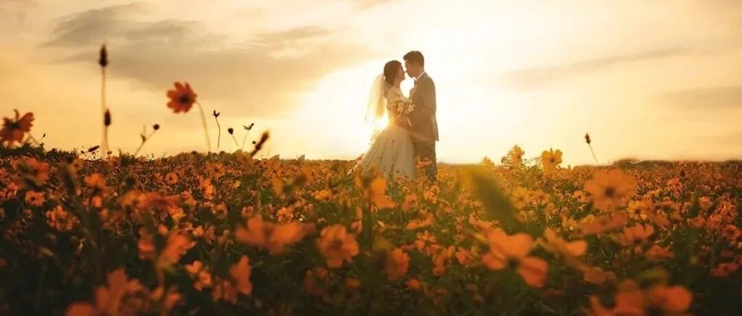 夫妻到了中年，最心酸的不是无爱无性，也不是出轨离婚，而是……