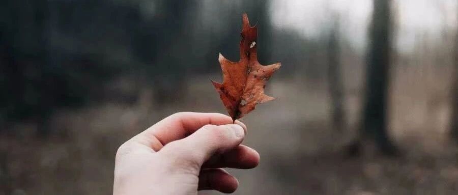 老人不帮忙带娃的家庭，最后都怎么样了？