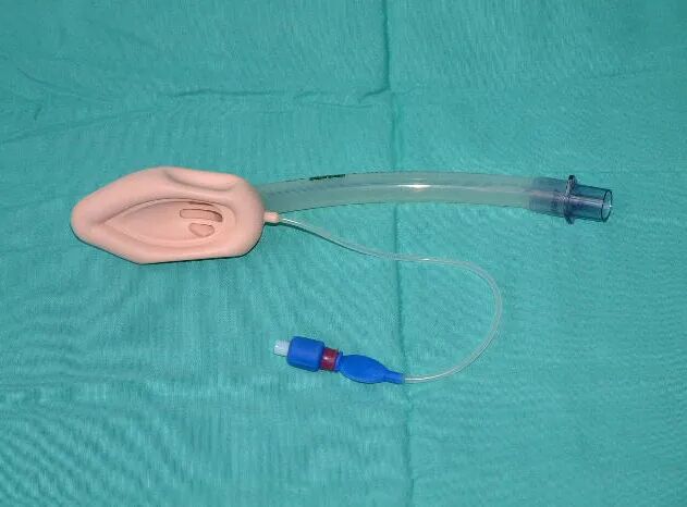 喉罩装置有哪些喉罩全麻，比较适合哪种机械通气模式？_https://www.jmylbn.com_新闻资讯_第3张