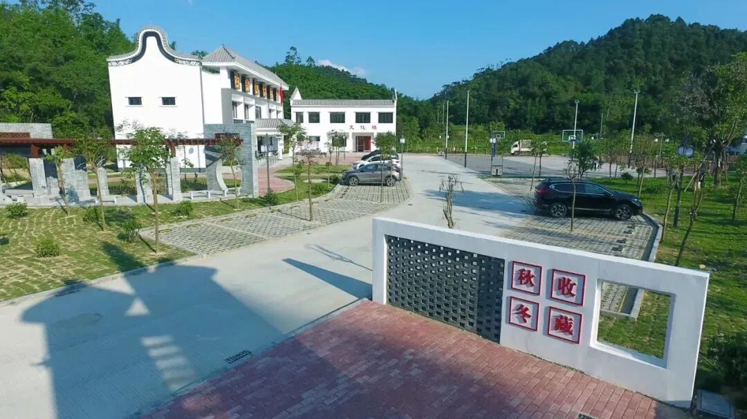 省第十三次党代会丨肇庆市高要区乐城镇社播村党支部书记赖才林代表小