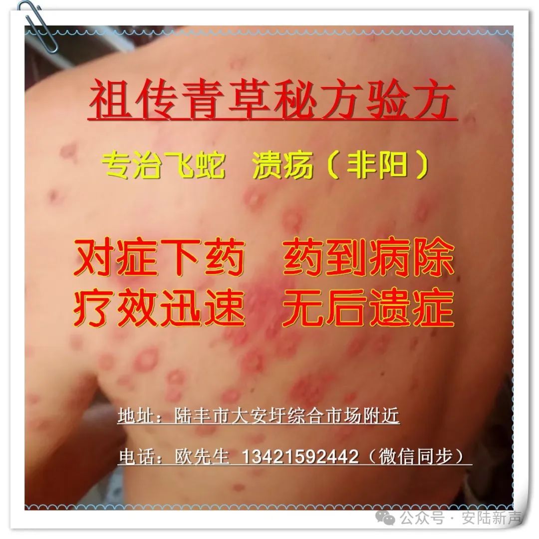 2025年06月09日汕尾天气,今年1号台风或将生成，最新消息→