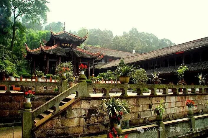 Vegetarian in China Guide ： Phrases, Temple Food & Vegan Tips