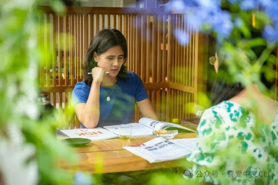 Private vs Group Chinese Lessons ： Choose the Right Format for You