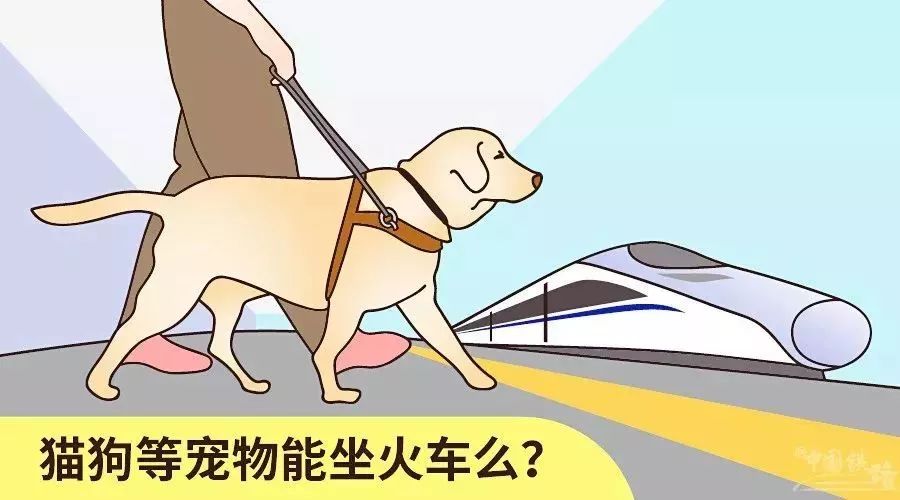 @所有人注意：今年春運這些「年貨」不能帶上火車！ 寵物 第5張