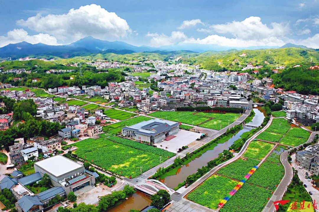 深学争优 敢为争先 实干争效 | 专访龙岩市委书记余红胜