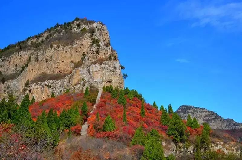 赵县景区_赵县旅游景点大全_赵县著名景点