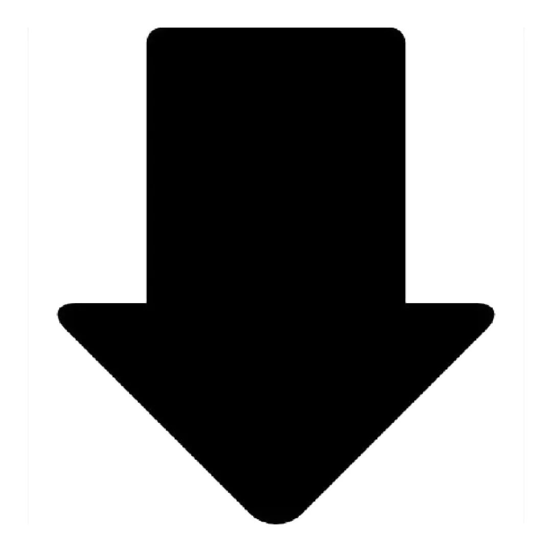 国内名校录取分数线_2024年北京外国语大学录取录取分数线（2024各省份录取分数线及位次排名）_国内分数线