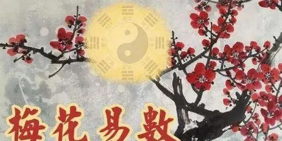 梅花易数的基础知识！