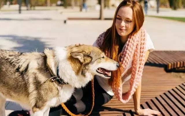 揭秘：女生為什麼愛養猛犬？需要安全感其實是一方面 寵物 第3張