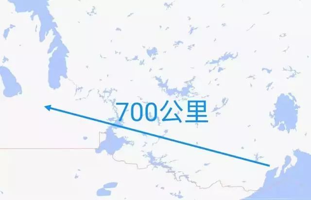 哈士奇走丟4年，主人日思夜想，直到接到來自700公里外的電話 寵物 第4張